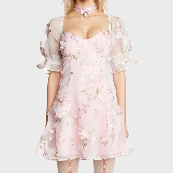 Dollz Kill X Sugar Thrillz floral embroidery mesh mini dress - Picture 2 of 9